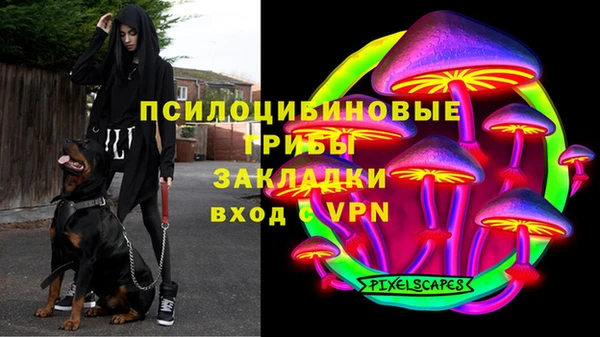 jwh Алзамай