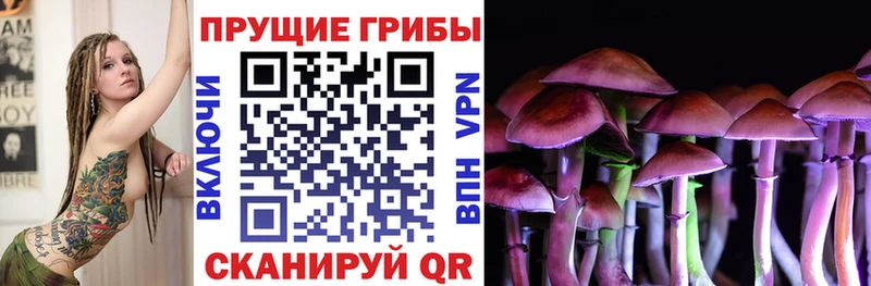 наркота  площадка Telegram  Галлюциногенные грибы мухоморы  Луза 